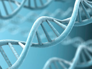 Rappresentazione grafica del DNA