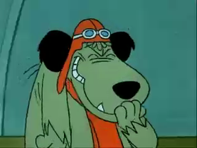 Come scoprire se il cane è mancino